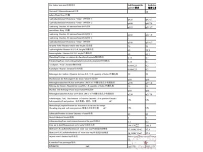 Test Report